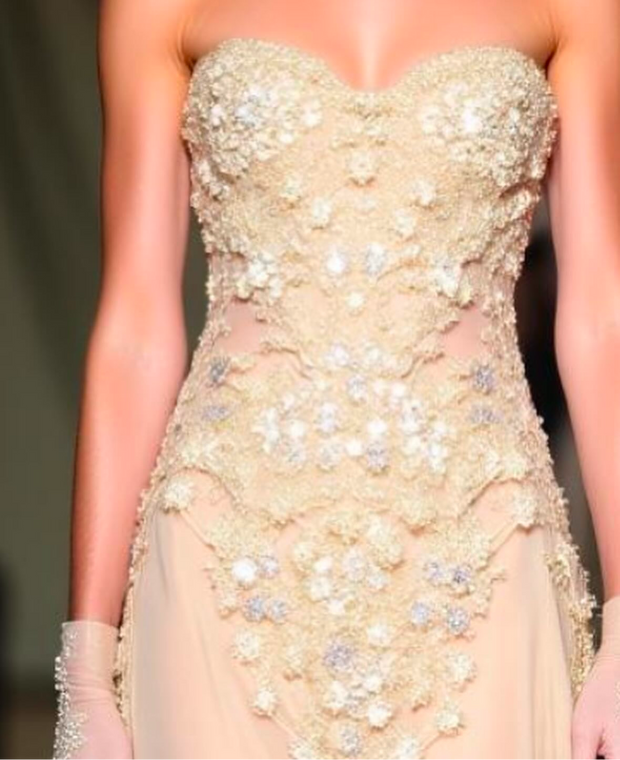 Hira Gown