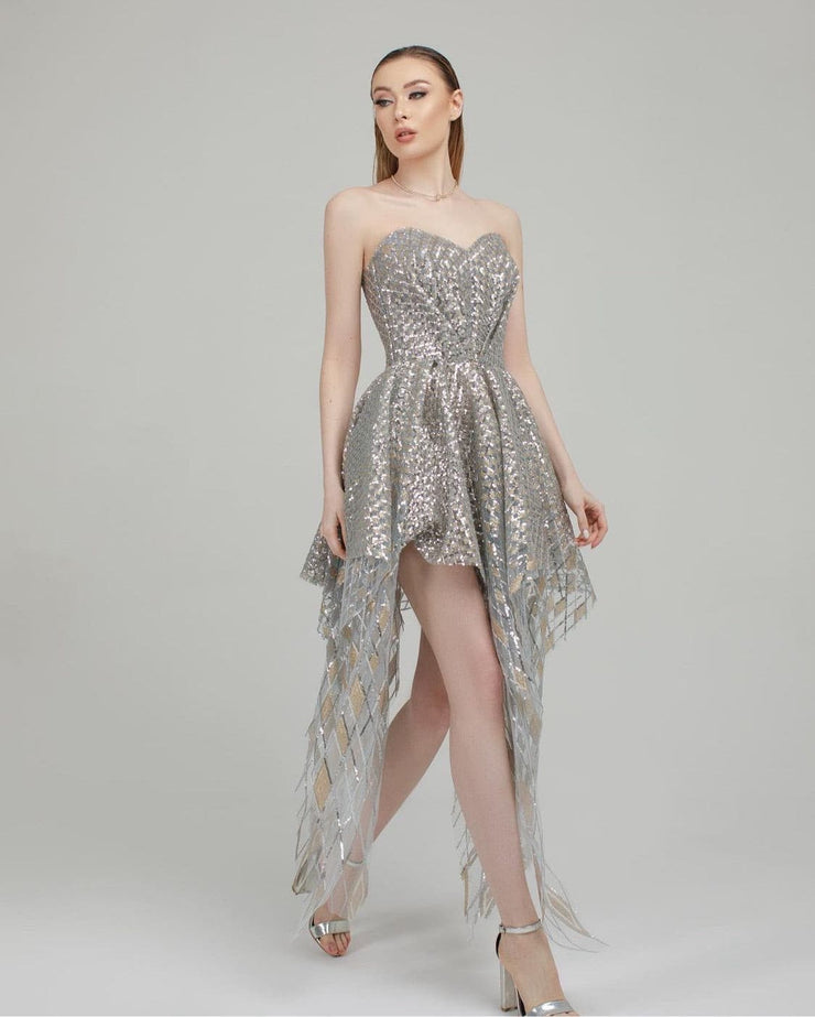 Silver Gold Embroidered Gown