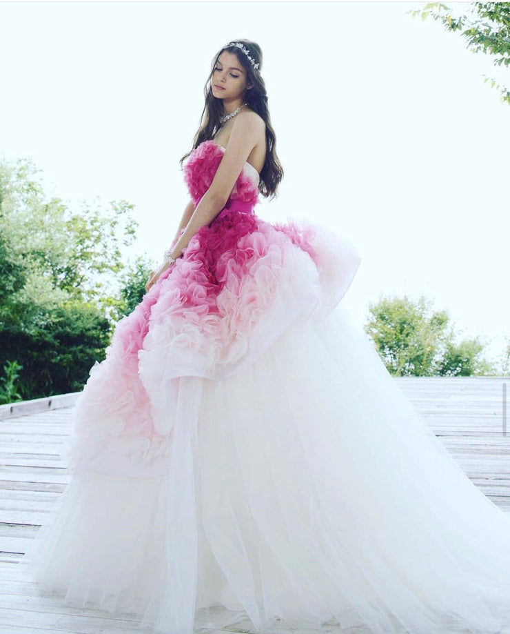 Flamellia Ombre Gown - Amelie Baku Couture