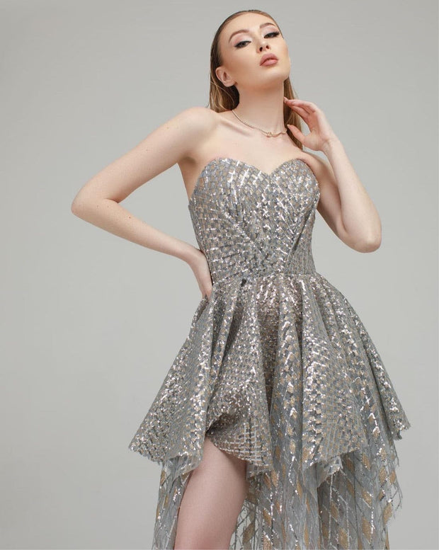Silver Gold Embroidered Gown