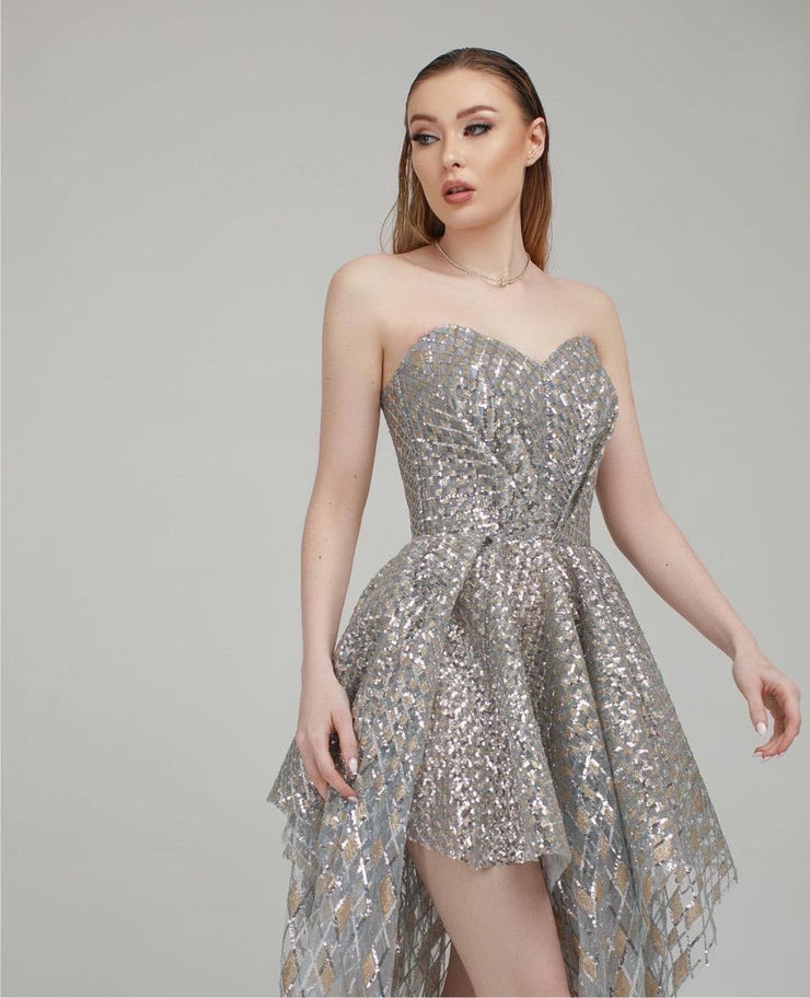 Silver Gold Embroidered Gown